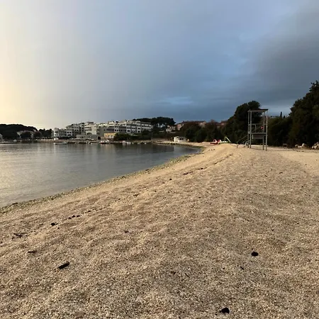 Moana *